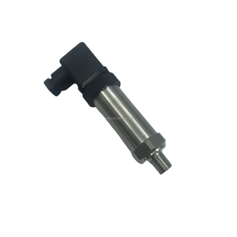 Customized 4-20mA Output 2023 Absolute Gauge Smart Pressure Transmitter
